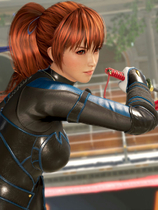 A1368 - 死或生6 生或死6 Dead or Alive6 v1.22.19-20240527+整合全部461个DLC+全人物R18MOD+附解锁存档 免安装中文版[58.7GB]