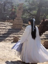 侠女风云录 Build.11930608-.4.3.23渾天寺官中+DLC+攻略开放沙盒免安装绿色中文版[2.17GB]【B0185】