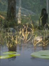 布兰博：山丘之王 免安装v20230621中文绿色版[7.31GB]【B0108】